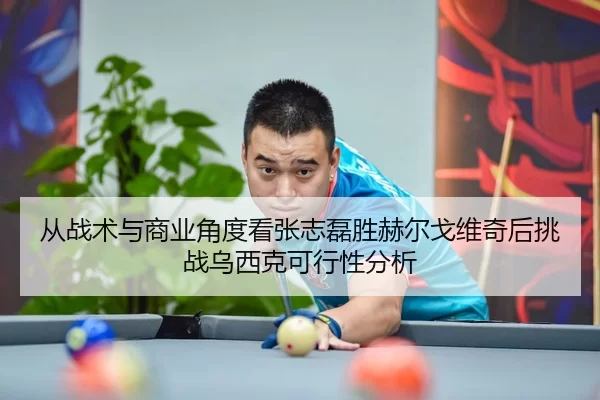 从战术与商业角度看张志磊胜赫尔戈维奇后挑战乌西克可行性分析